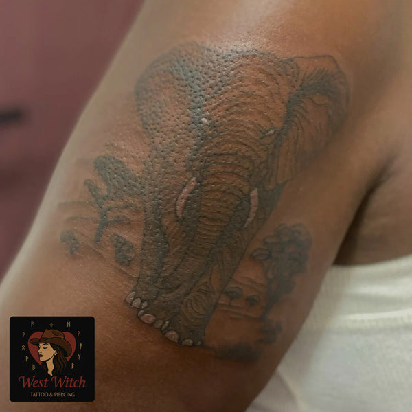 Tatouage | Août